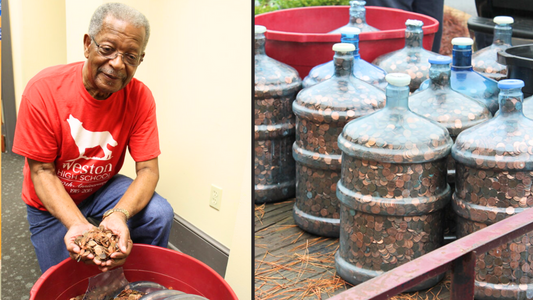 Man collects pennies for 45 years Leaving bankers speechless